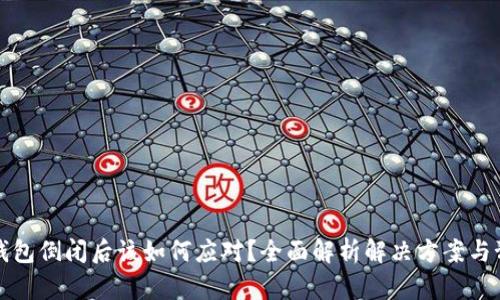 区块链钱包倒闭后该如何应对？全面解析解决方案与预防措施