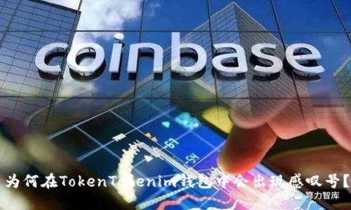 为何在TokenTokenim钱包中会出现感叹号？