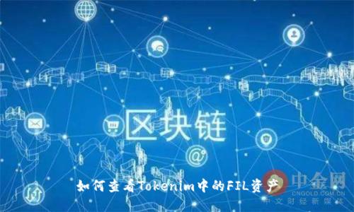 如何查看Tokenim中的FIL资产