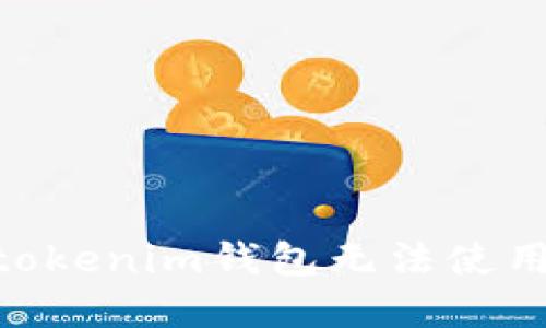 解决Tokentokenim钱包无法使用的详细指南