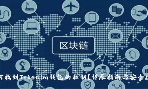 如何找到Tokenim钱包的私钥？详尽指南与安全建议