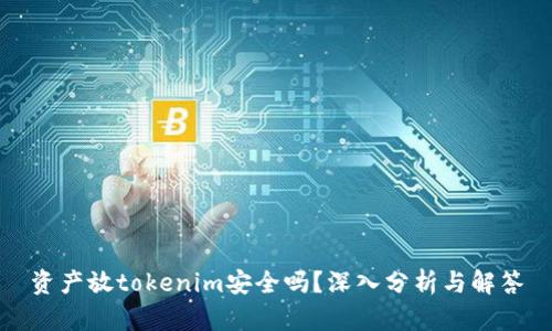 资产放tokenim安全吗？深入分析与解答