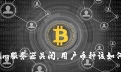 Tokenim服务器关闭，用户币