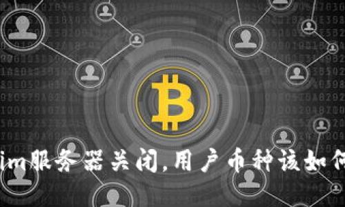 Tokenim服务器关闭，用户币种该如何处理？