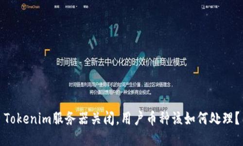 Tokenim服务器关闭，用户币种该如何处理？
