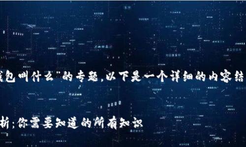 关于“存放虚拟币的钱包叫什么”的专题，以下是一个详细的内容结构提纲以及相关信息。


虚拟币钱包类型全解析：你需要知道的所有知识