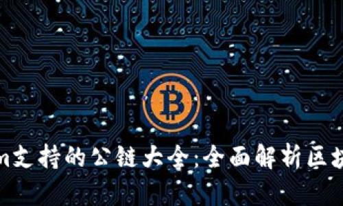 Tokenim支持的公链大全：全面解析区块链生态