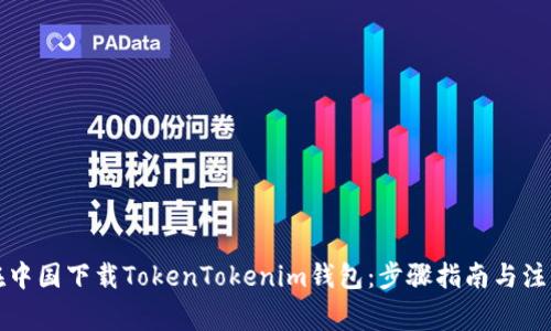 如何在中国下载TokenTokenim钱包：步骤指南与注意事项