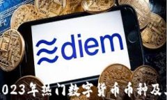 全面解析2023年热门数字货