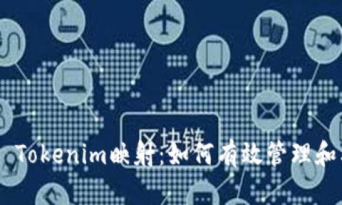 深入浅析EOS Tokenim映射：如何有效管理和利用数字资产