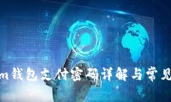 : tokenim钱包支付密码详解与常见问题解答