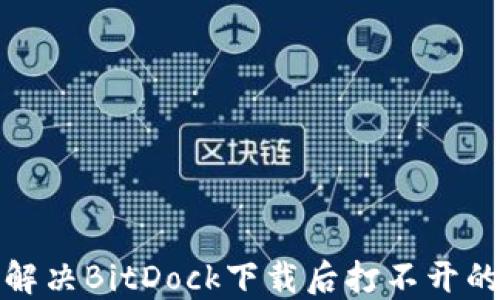 
如何解决BitDock下载后打不开的问题