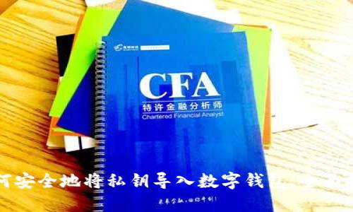 如何安全地将私钥导入数字钱包：全面指南