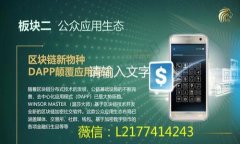 “全方位解析：TokenTokenIM钱包及SNS币的应用场景