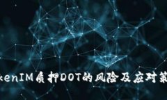 TokenIM质押DOT的风险及应对