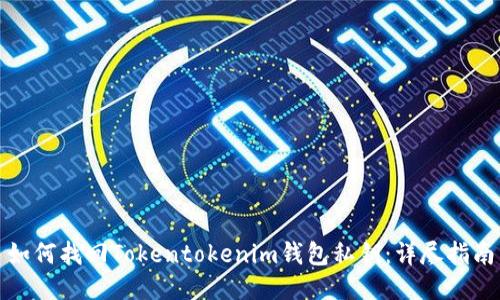 如何找回Tokentokenim钱包私钥：详尽指南