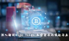 : 深入解析Doge Token：加密