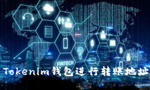 如何正确使用Tokenim钱包进行转账地址的大小写管理