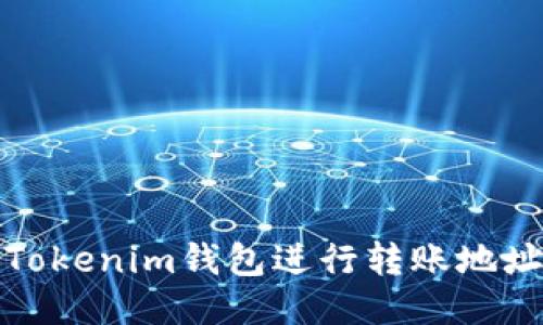 如何正确使用Tokenim钱包进行转账地址的大小写管理