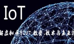 理解虚拟币BIUT：投资、技
