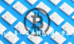 如何将Tokenim导入云币钱包