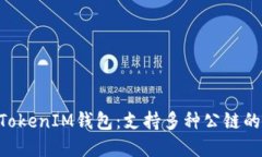 解密TokenTokenIM钱包：支持多种公链的安全与便利