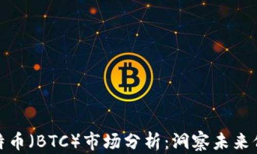 
最新比特币（BTC）市场分析：洞察未来价格走势