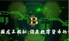 ### 币圈龙王揭秘：谁是数