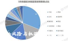 :炒虚拟币的风险与机遇：