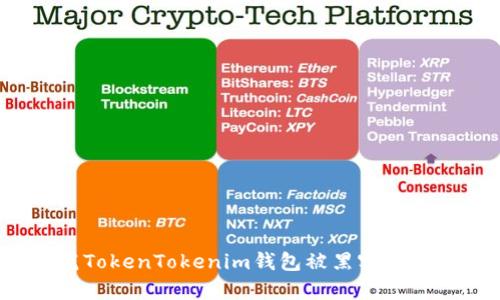 如何防范TokenTokenim钱包被黑客监控的风险?
