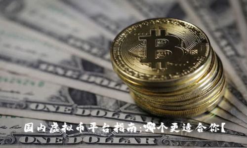 国内虚拟币平台指南：哪个更适合你？