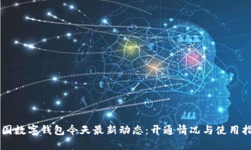 中国数字钱包今天最新动态：开通情况与使用指南