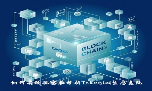 如何有效观察和分析Tokenim生态系统