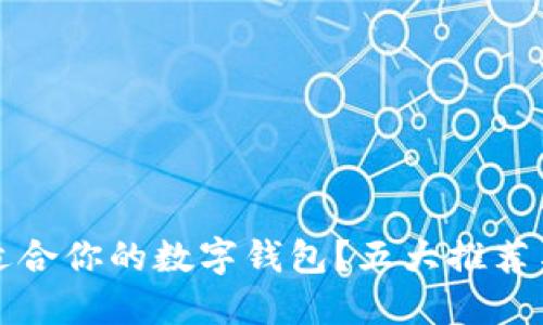 如何选择适合你的数字钱包？五大推荐与使用指南