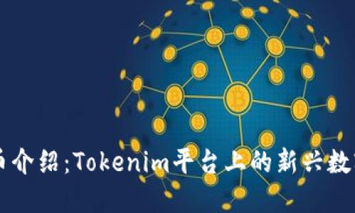 WXB币介绍：Tokenim平台上的新兴数字资产