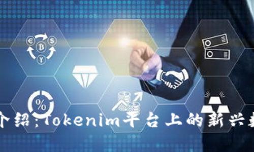 WXB币介绍：Tokenim平台上的新兴数字资产