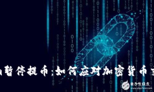 Tokenim暂停提币：如何应对加密货币交易风险