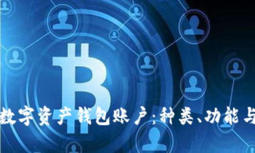 全面解析数字资产钱包账户：种类、功能与选择指南