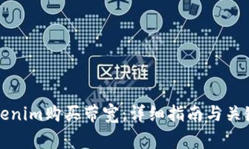 如何用Tokenim购买带宽：详细指南与关键注意事项