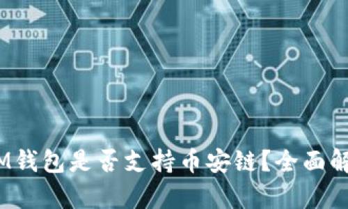 TokenTokenIM钱包是否支持币安链？全面解析与实用指南