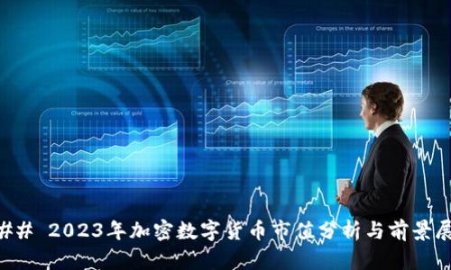 ### 2023年加密数字货币市值分析与前景展望