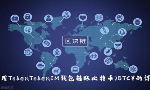 如何使用TokenTokenIM钱包转账比特币（BTC）的详细指南