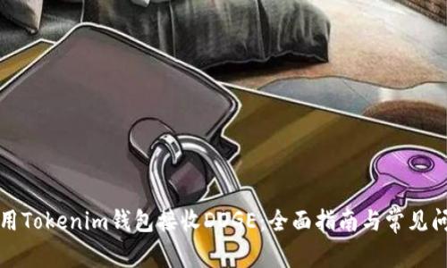 如何使用Tokenim钱包接收DOGE：全面指南与常见问题解答