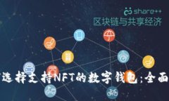 如何选择支持NFT的数字钱